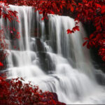 Carta Da Parati Cascata D'autunno