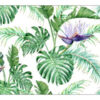 Carta Da Parati Foglie Di Monstera