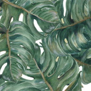 Carta Da Parati Foglie Di Monstera Dell'acquerello