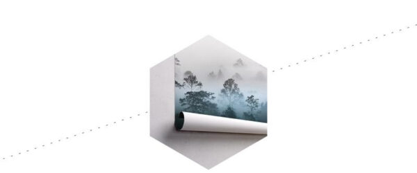 Carta Da Parati Foresta Nella Nebbia