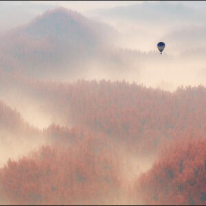 Carta Da Parati Foresta Nella Nebbia