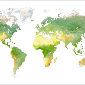 Carta Da Parati Mappa Del Mondo