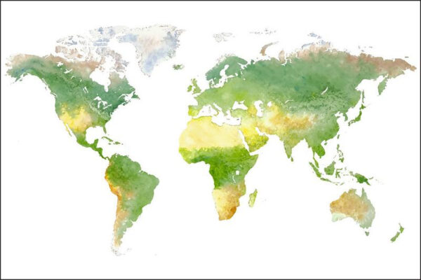 Carta Da Parati Mappa Del Mondo