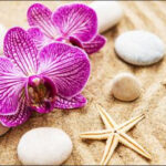Carta Da Parati Orchid Beach Spa