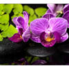 Carta Da Parati Orchidea Spa