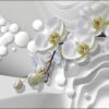 Carta Da Parati Orchidee Bianche
