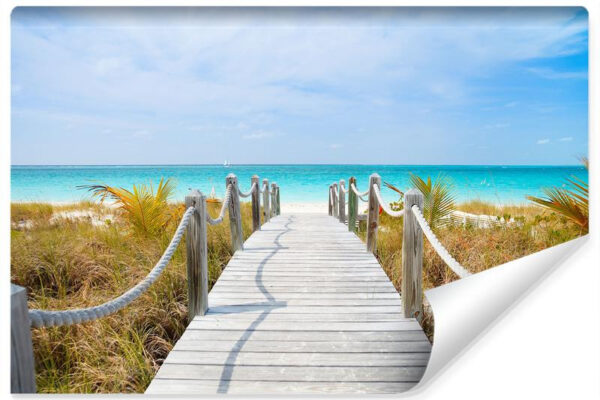 Carta Da Parati Percorso Su Una Spiaggia Caraibica