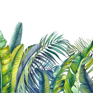 Carta Da Parati Piante Tropicali Verdi E Blu