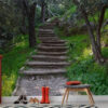 Carta Da Parati Scala Nel Bosco 3D