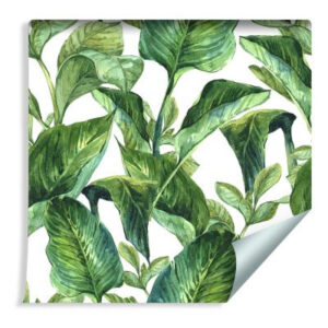 Sfondo Foglie Tropicali Dell'acquerello