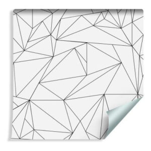 Sfondo Motivo Geometrico In Bianco E Nero
