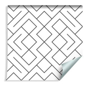 Sfondo Motivo Geometrico In Bianco E Nero
