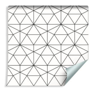 Sfondo Motivo Geometrico In Bianco E Nero